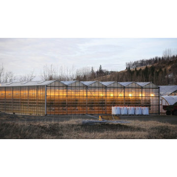 Estrutura de aço agrícola pré -fabricada Greenhouse