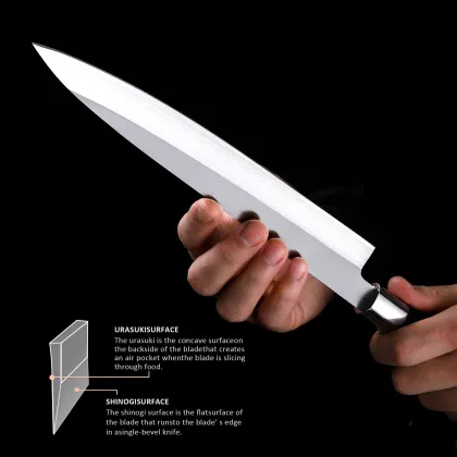 10 Inch Japanese Sushi Knife 7Cr17MOV Sashimi Knife with Chicken Wenge Wood Handle