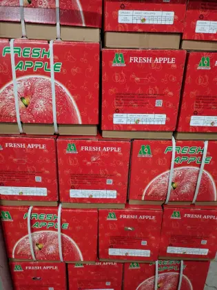 super quality orchard apples