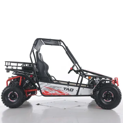 Tao Motor 200cc Electric Start Off Road Gas Go Kart