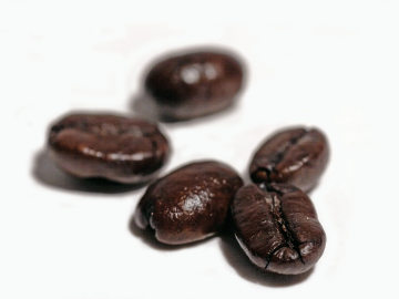 arabic coffee beans