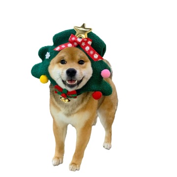 MOFESIPI Christmas Dog Hat, Bow Tie & Collar Set for Small to Large Dogs