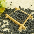 Big Black Beans 6.5mm Black Turtkle Bean