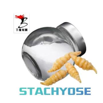 Natural Prebiotic Stachyose For Gut Digestive Support