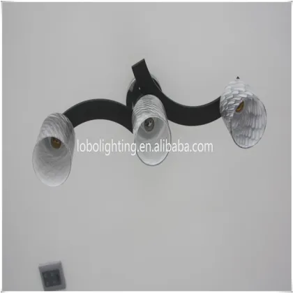 2014 modern chandelier lighting/chinese ceiling light/hotel lobby ceiling lights/light for restaurant