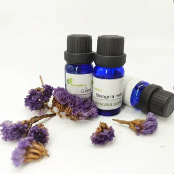 Bangrui Supply Eco-Friendly Feature and Home Air Freshener Use Reed Diffuser Fragrance Oil
