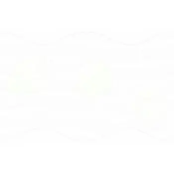 Glazed Ceramic Wall Tiles