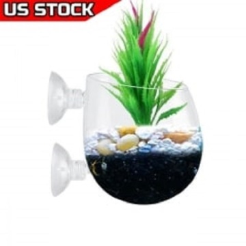 Aquarium Ornaments  2021-4