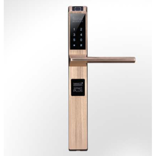 WiFi Smart Door Sperre vordere Tür für Zuhause