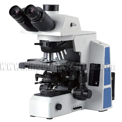 40X to 1000X Trinocular Biological Research Microscope BX43: Advanced Scientific Imaging Tool