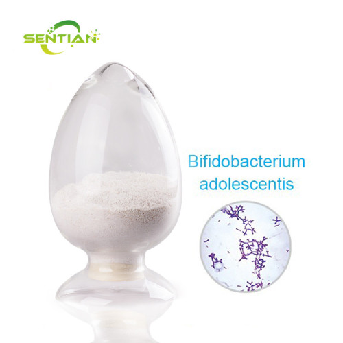 Probiotic Powder 100billion cfu Bifidobacterium Adolescentis
