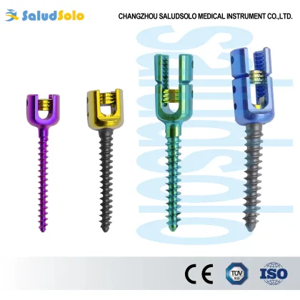 6.0 Spinal Pedicle Screw System