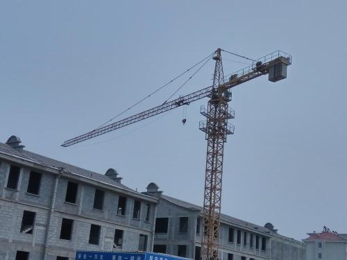 3T Hydraulic Construction Building Hammerhead Tower Crane