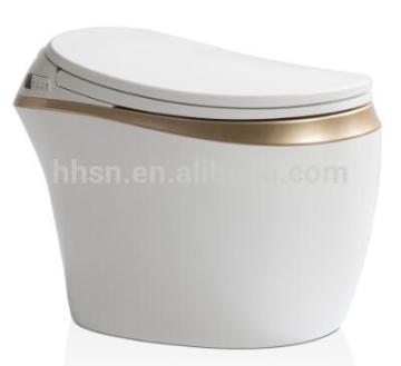 Bathroom intelligent toilet