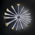 Large 17 pcs Professional Makeup Brush Set