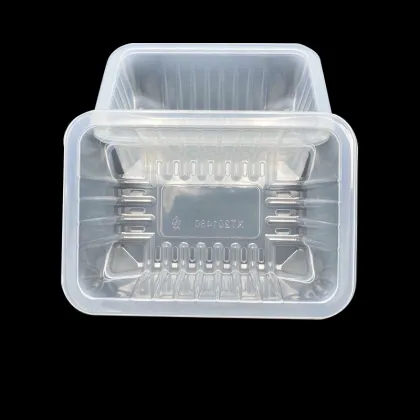 Wholesale Disposable Plastic Lunch Boxes and Fast Food Trays for Meat Packaging