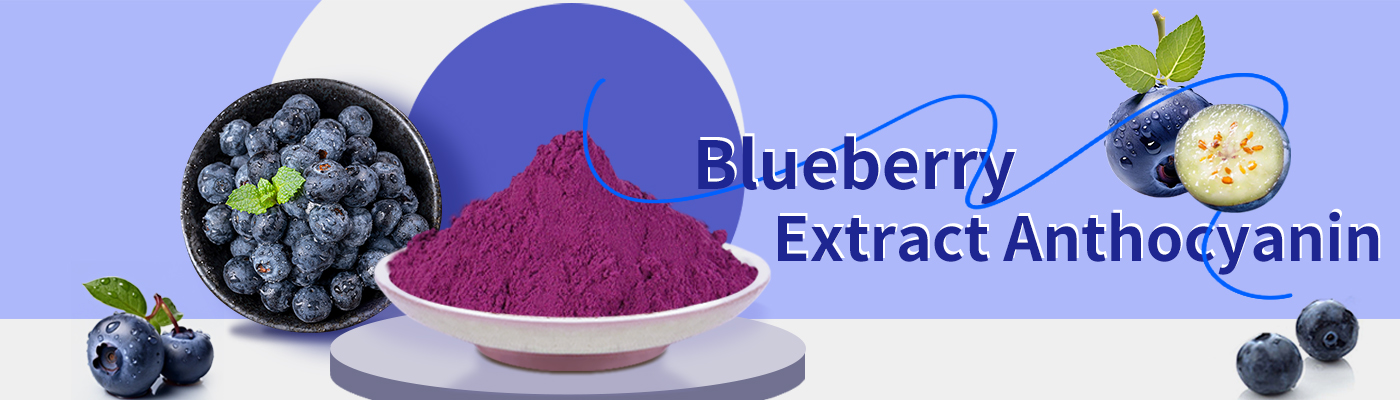 Blueberry Extract for Health
