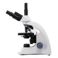 Microscopio compuesto trinocular VB-550T