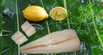 Pollock fillet