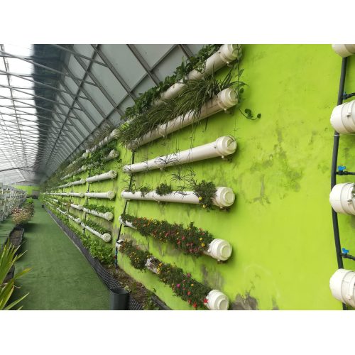 Scenic Sunlit Warm Greenhouse