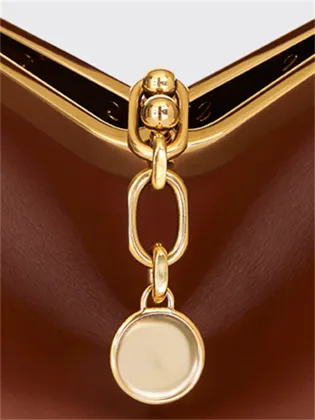 Metal and Leather Harmony Luxe Brown Crossbody Bag