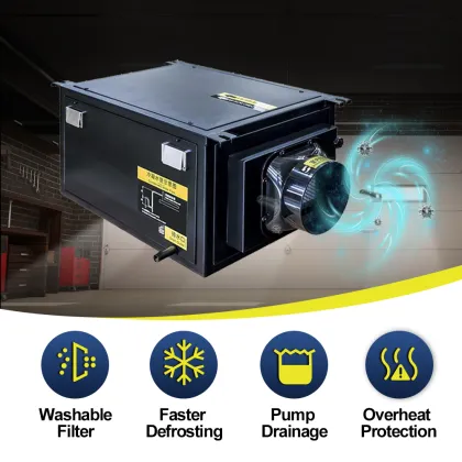 Portable 20L Air Dehumidifier for Ceiling - DY-C20DZ Green House Dehumidifier Machine