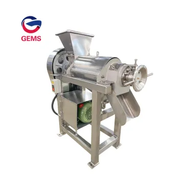 Commercial Carrot Ginger Juicer Machine Fruit Juice Machine