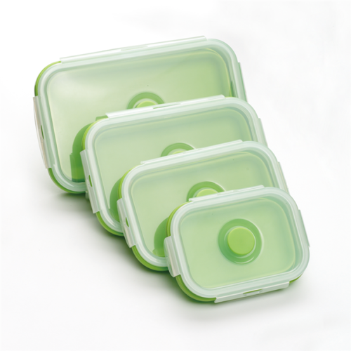Colorful Silicone Food Storage Lunch Boxes for Home