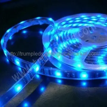 24v Colorful Flexible LED Rope Light Waterproof