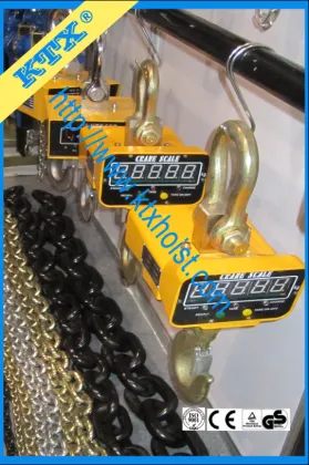 electric crane scale weight scale