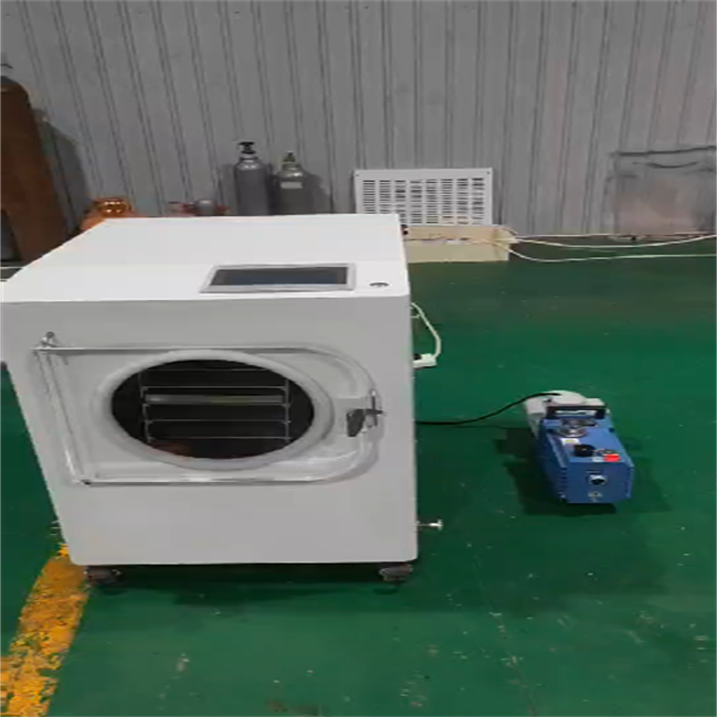 4S Home Freeze Dryer Machine