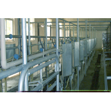 High tech herringbone milking hall