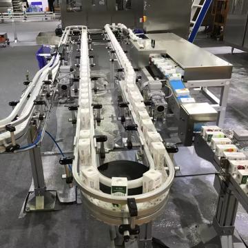 Custom Plastic Flexible Chain Conveyor Line for Beverage Industry