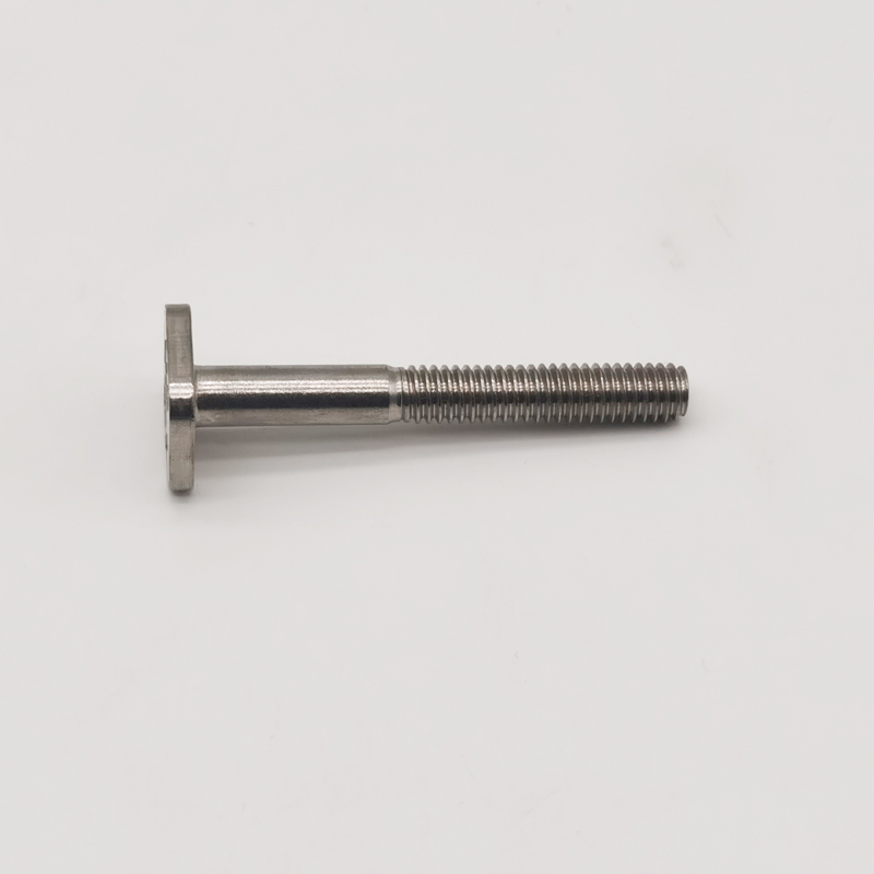 الصناعة العامة SS304 SS316 Flat T Head Bolt