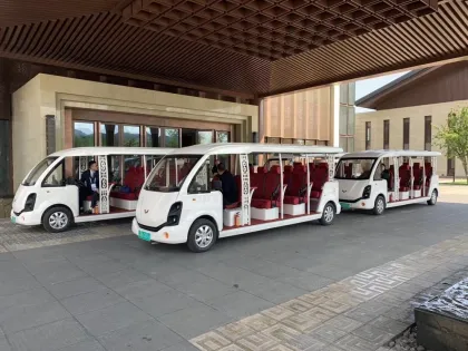 High-end Luxurious Wuling V100 Series Mini Electric Sightseeing Cars