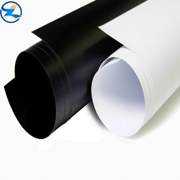 PP rigid film rolls sheet for food packing