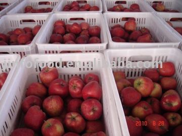 Fresh Huaniu apple