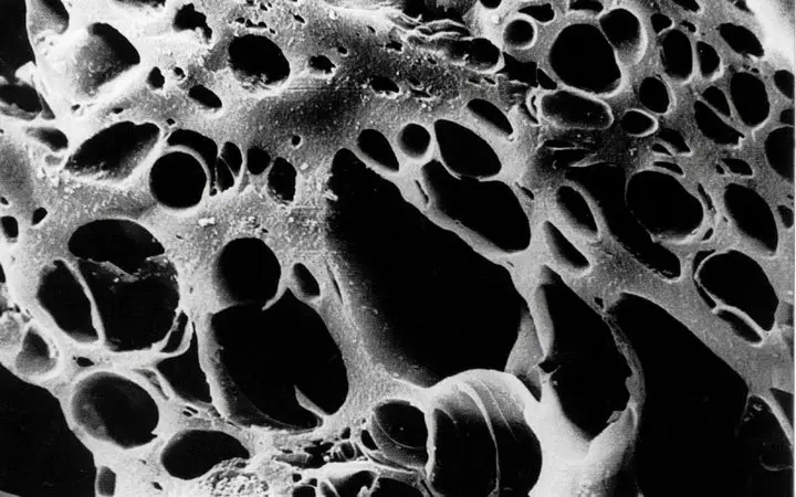 Activated Carbon under a microscope.webp