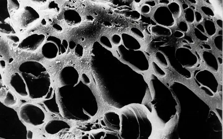 Activated Carbon under a microscope.webp Activated Carbon under a microscope.webp