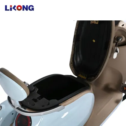 China-made Electric Adult Tricycle E-Tricycle Trike
