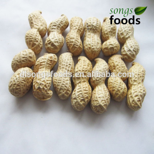 Cashew Nut/chinese Raw Type Groundnut Or Peanut High Quality Cashew