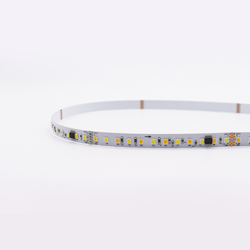 SMD 2835 120led/m Indirizzabile DMX512 Strip LED digitale