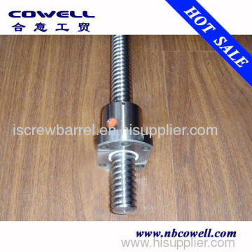 Ball Screws 