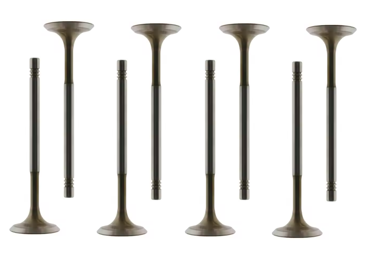 036109611AE Exhaust Valve for Engine