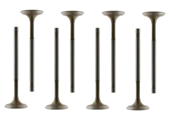 VW Audi EA888 Exhaust Valve