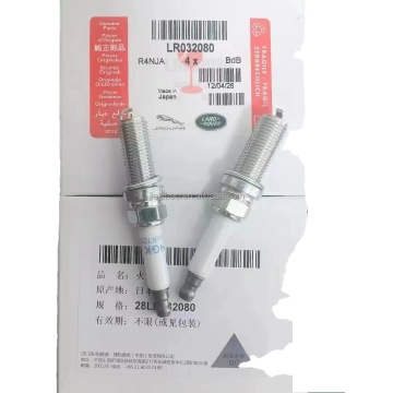Заглушки для свечей Range Rover: LR032080 LR123892 LR019484 AJ812146 AJ812988 C2P23089 LR011987