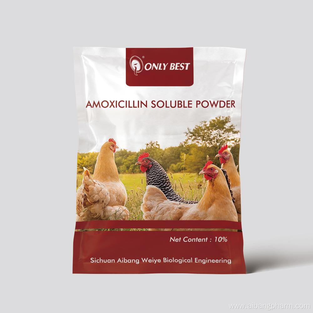 Anti Bacterial Amoxicillin Soluble Powder