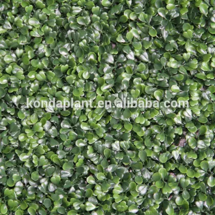 Garden green Artificial boxwood Hedges