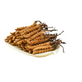 Cordyceps Extract Powder for Energy and Endurance Boost