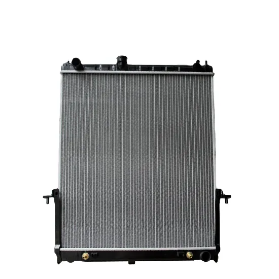 Radiator Spare Parts for NISSAN SAFAI 07-AT OEM 21460-VC200 Radiator Sale
